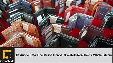 One Million Individual Wallets Now Hold a Whole Bitcoin