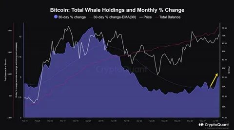 Whale Accumulation in Bitcoin Reaches New Highs