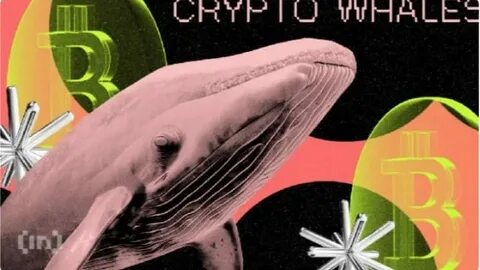 Crypto Whales Buy in the Crash: What and Why? - Altcoin Buzz