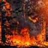 Global wildfire paradox: Human impacts worsen even as total burned area declines