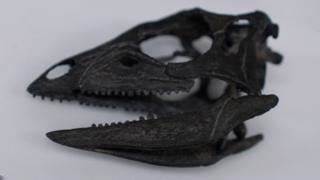 Dog-sized dinosaur that ran around feet of giants discovered