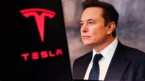 Dave Portnoy's $10 Million Elon Musk Bet Pays Off As Tesla Soars 12% In Two Weeks: 'That's A Million Bucks'