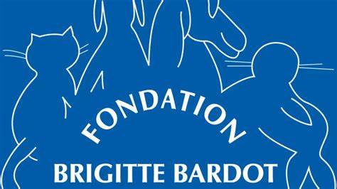 Fondation Brigitte Bardot | FELIS CANIS ASSOCIATION