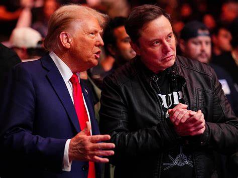Video of Trump kissing 'real king' Elon Musk’s feet played on US Govt screens in 'hack' - The Mirror US