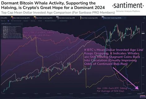 Bitcoin Price Prediction: How Far Could The Bitcoin Bull Run Go? - Forbes