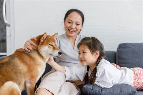 Is Shiba Inu a Bargain Buy or Destined for More Decline?