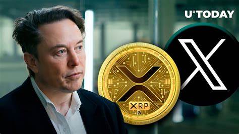 Cardano Retests Key Support; XRP Price Eyes a Breakout But IntelMarkets Tipped For Huge Leap - Crypto Adventure
