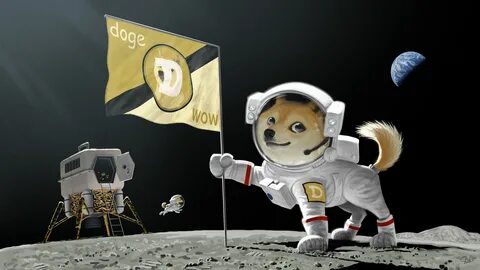 SpaceX is literally sending DOGE to the moon. Here’s what that actually means. - Mashable