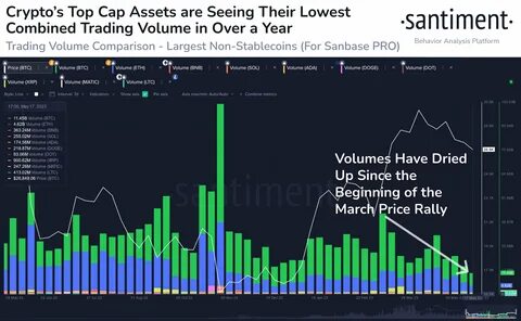 Bitcoin still tracks equities, while altcoins steal the show - MSN