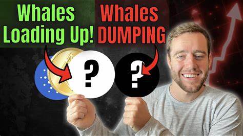 Ethereum & Solana Whales Are Loading Up on This 50,000% Growth Opportunity! - NullTX