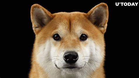 Shiba Inu (SHIB) Price Suddenly Spikes 14%. Here's Why - U.Today