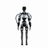 2 Humanoid Robot ETFs Now Trading as AI Boom Expands