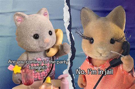 TikTok Creator Sued by Sylvanian Doll Maker over Brand Promotions