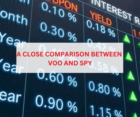 Top S&P 500 ETFs for February 2025: SPY, VOO and More - NerdWallet