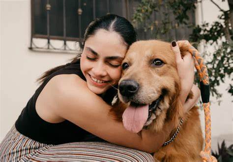 New research centre to explore how AI can help humans 'speak' with pets