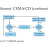 Crexendo Powers BCN’s Strategic Expansion of IP Voice Services
