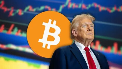 Trump's crypto czar decries government's lack of bitcoin 'long-term strategy'