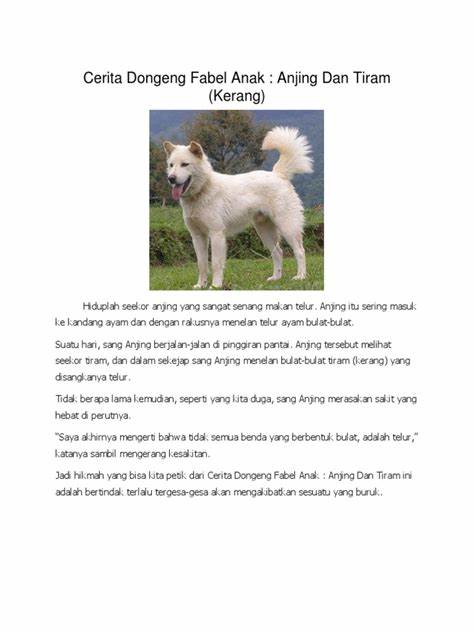 Cerita Fabel; Anak Anjing yang Baik Hati - Kompasiana.com