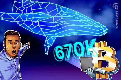 Bitcoin whale accumulation hits 670K all-time high amid BTC’s v-shaped bounce - TradingView