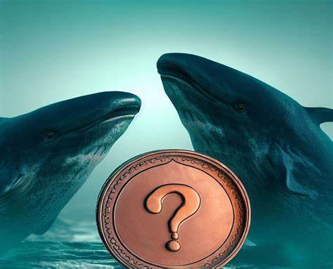 Crypto Whales Bought These Altcoins in the Second Week of October 2024 - Binance