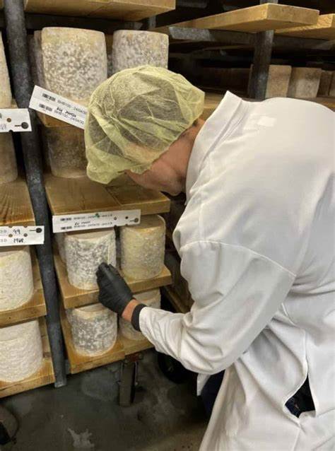 Scientists Watched Evolution Happen in Real Time Inside a Vermont Cheese Cave
