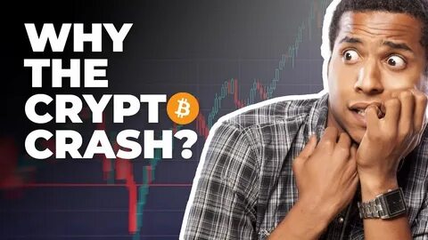 Why Is Crypto Crashing and Will It Recover? - Investment U