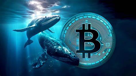 Whales shift 26.4K Bitcoin to accumulation addresses as BTC falls to 3-month low - Cointelegraph