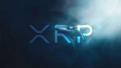 XRP’s Future Looks Bright Amid SEC Silence, Whale Accumulation, and Strategic Talks - NullTX
