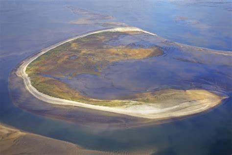 Cleveland-Cliffs Inc. (CLF): “They Buy Almost All American,” Says Jim Cramer