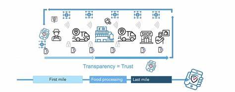 No One Wants Radical Transparency: How SCRT Labs is Building the Future of Decentralized Confidential Computing - TheStreet