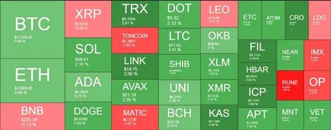Crypto Today: BTC price taps $81K, PEPE and BNB lead gainers as Binance and Ripple enter Dubai market - FXStreet