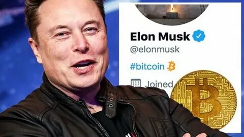 If You Bought $1K of Elon Musk’s Favorite Crypto 5 Years Ago, Here’s How Much You Would Have Now - Yahoo Finance