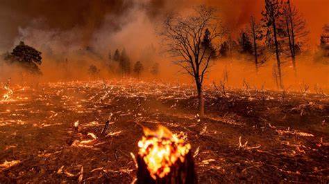Southern California Edison faces lawsuits over Los Angeles wildfires - Blue Water Healthy Living