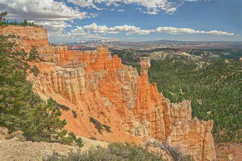 Photograph should haunt you for the rest of your life