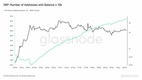 Moon soon? XRP's strongest spot premium aligns with 70% rally setup