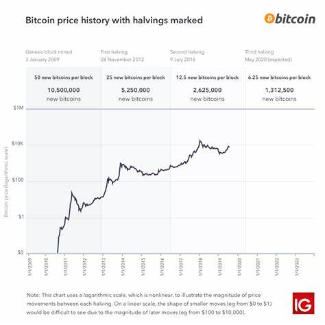 If You Invested $1,000 In Bitcoin During The May 2020 Bitcoin Halving, Here's How Much You'd Have Now - Benzinga