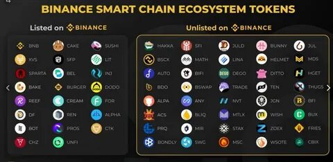 Binance Coin and Skyren DAO: Competing Visions for Crypto Ecosystems