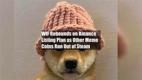 WIF Rebounds on Binance Listing Plan as Other Meme Coins Run Out of Steam - MSN