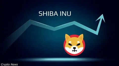 Unpacking Shiba Inu’s 6,223% Daily Burn Hike: Another Extended SHIB Price Rally Locked In? - DailyCoin