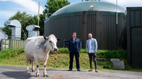 How cow poo is powering crypto mining - BBC.com