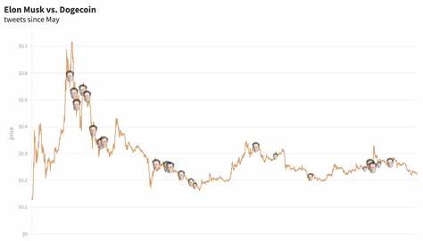 Measuring how much Elon Musk pumps crypto like Shiba Inu, Floki, Doge - Protos