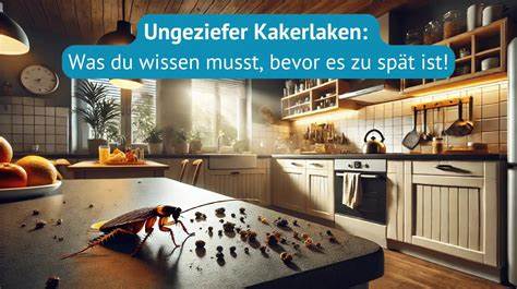 Kakerlaken in Deutschland: Was Du wissen musst - Ungeziefero