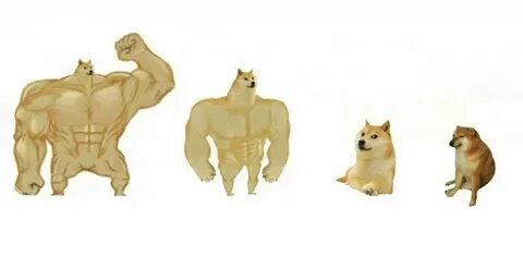 doge88-dogs888 27/01/2025 - ufpe.br