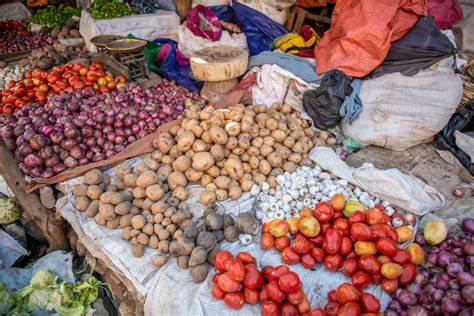 Sciences. La pomme de terre prendrait ses racines de la tomate selon 