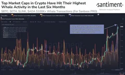 Ethereum Whales’ Activity Points to New ETH All-Time High, Analyst Says - BeInCrypto