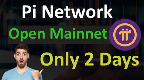 Pi Network Faces Scam Allegations Amid Its Feb 20 Mainnet Launch Frenzy. - Binance