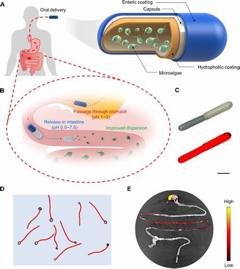 Delivery of biologics via the GI tract by self-pressurized oral capsules