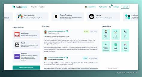 I built a financialmanagement platform for indiehackers and solopreneurs