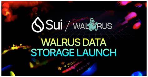 Walrus Is Among the Top 3 SUI Ecosystem Altcoins To Rebound - Altcoin Buzz