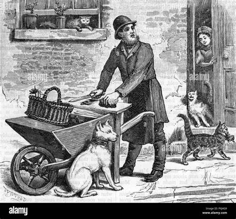 The Cat's Meat Man: Feeding Felines in Victorian London